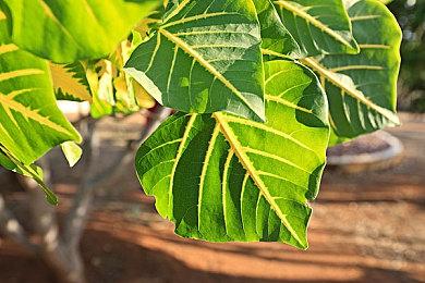 《仙剑奇侠传7》今日开启优惠 7.7折截至月底